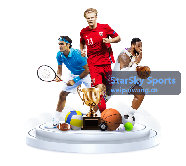 StarSky Sports 跑鞋选购指南